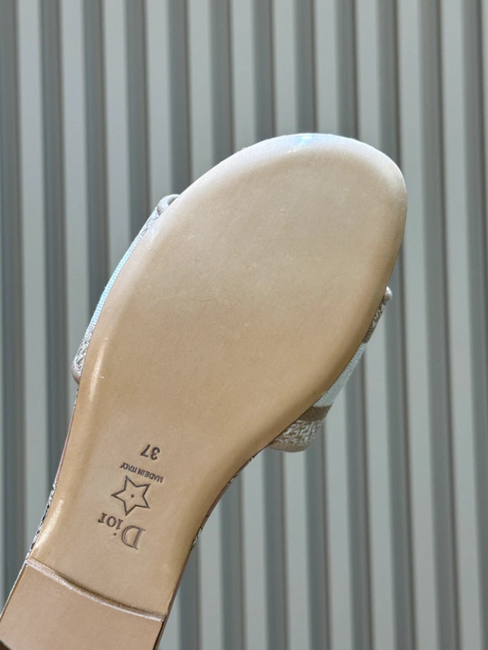 DIOR DWAY SLIDE – DS046